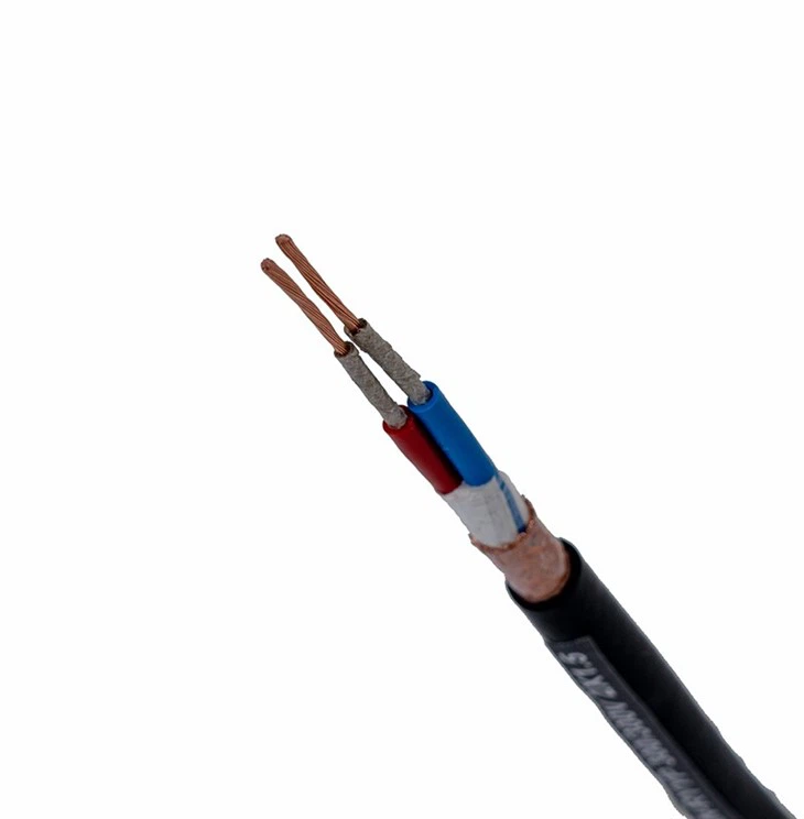 WDZANRYYP2x1.55